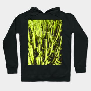 cactus Hoodie